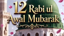 Rabi ul Awwal Mubarak ❤️ | May Allah Bless You