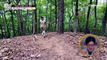 "얌전히 자라고" 갑자기 으르렁거리는 쿠키 VS 갑자기 목소리 바뀌는 보호자