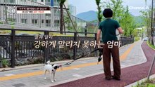 '쿠키'의 예민한 입질! 원인은 다리 통증?
