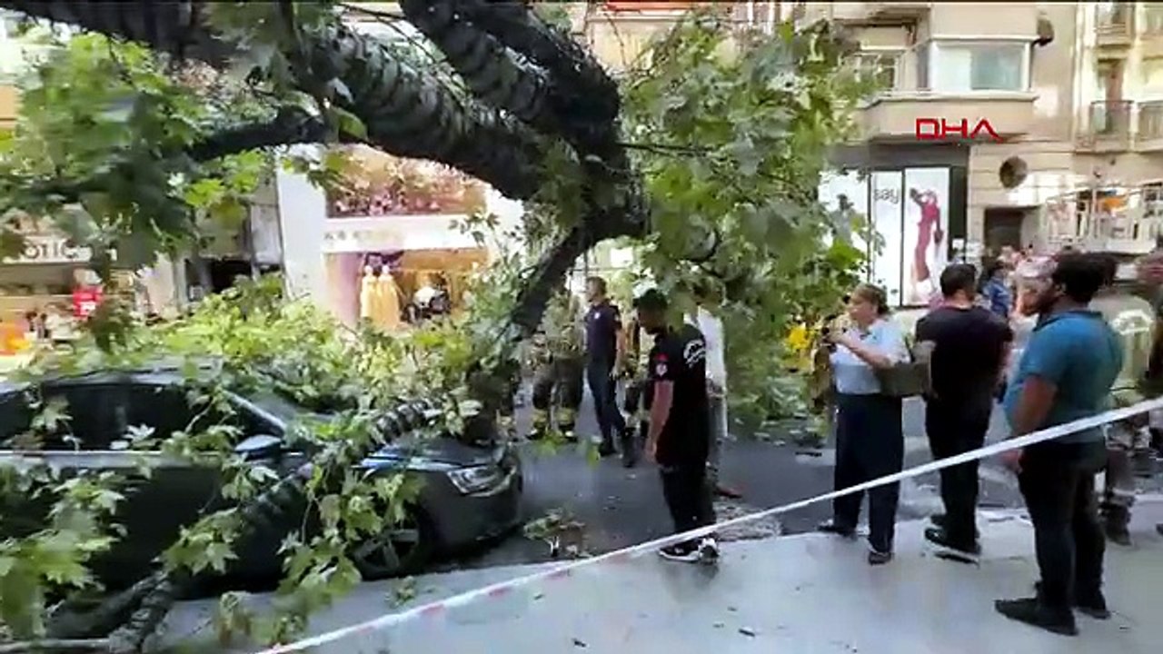Nişantaşı'nda çınar ağacı devrildi; yol trafiğe kapandı
