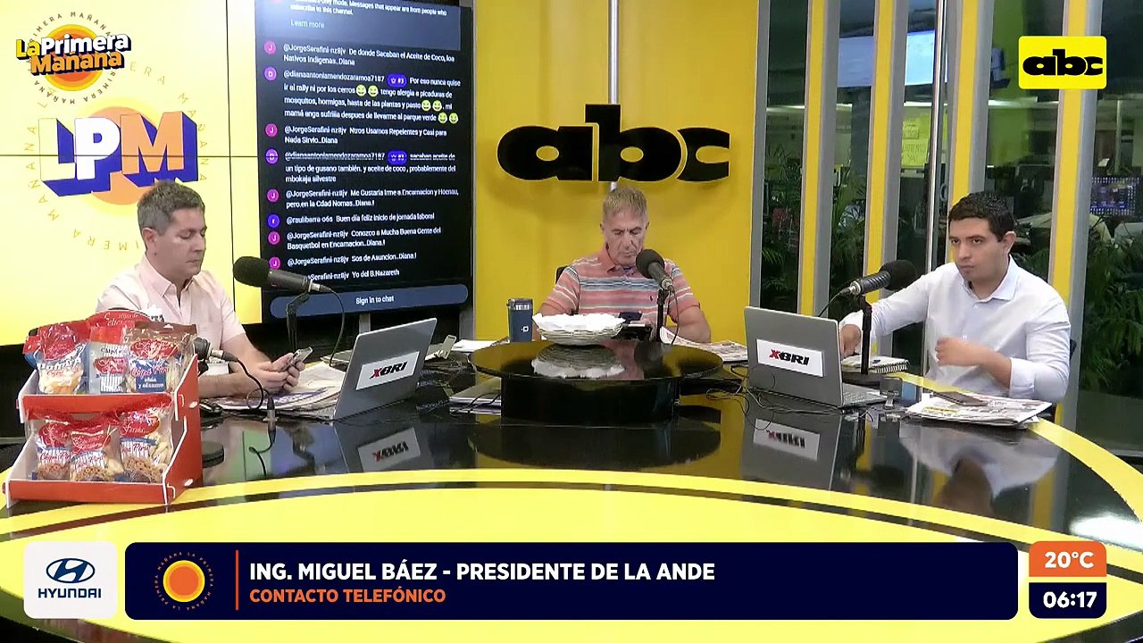 Ing. Miguel Báez, presidente de la ANDE