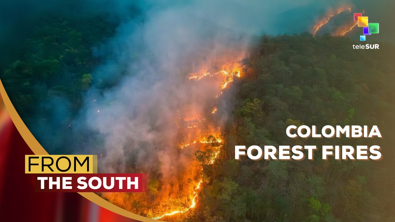 Colombia, more than 20,000 hectares destroyed by forest fires