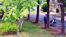 Tập 36 - Tình Thâm Đối Đầu (Phim THVL)_DV Lê Minh Thành, Tường Vi, Dũng Bino, YeYe Nhật Hạ