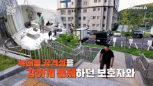 "문제를 발견했습니다" 드디어 강 훈련사 출동! 문제를 풀 열쇠는?