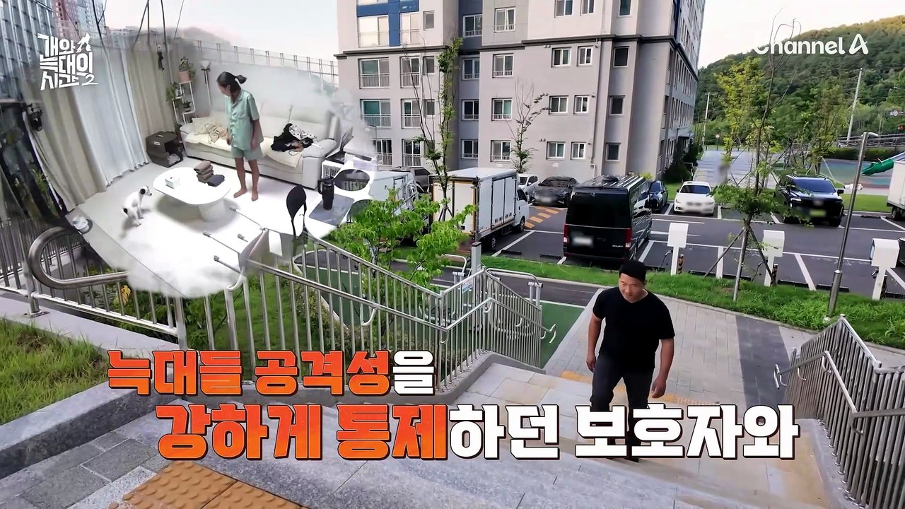 "문제를 발견했습니다" 드디어 강 훈련사 출동! 문제를 풀 열쇠는?
