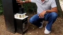 moustiques