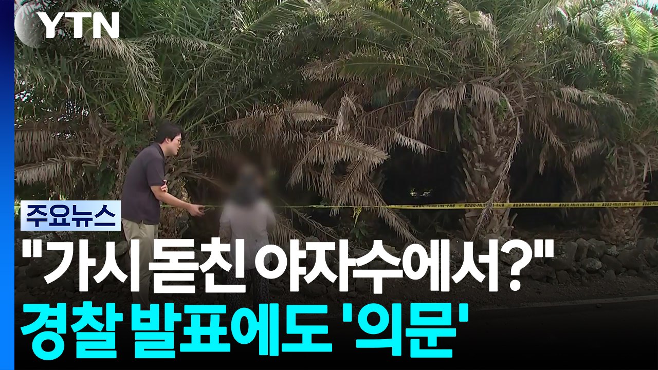 "가시 돋친 야자수에서?"...경찰 발표에도 '의문' / YTN