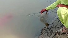 Fish man