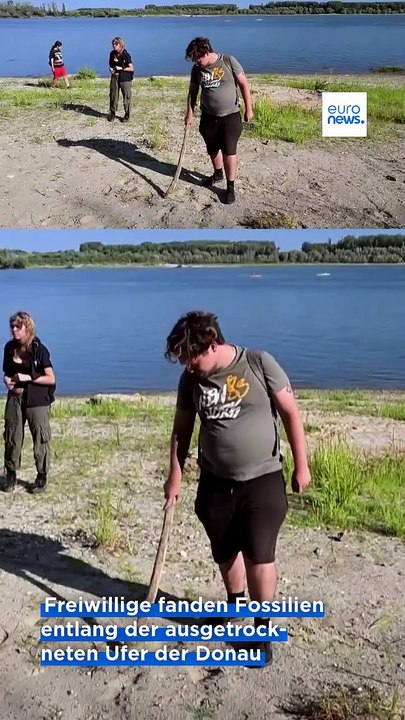 Dürre legt Fossilien und Kriegsschiffswracks an der Donau frei