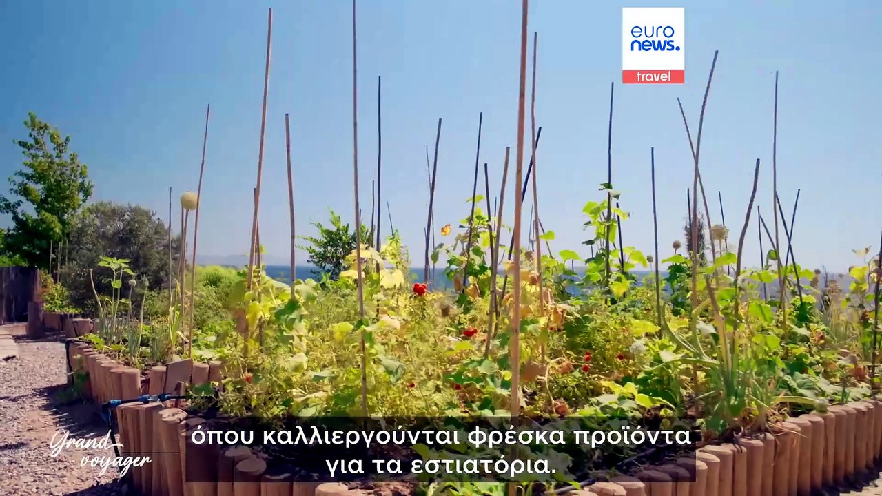 Grand Voyager | Εξερευνώντας την Αλικαρνασσό και την ακτή του Αιγαίου