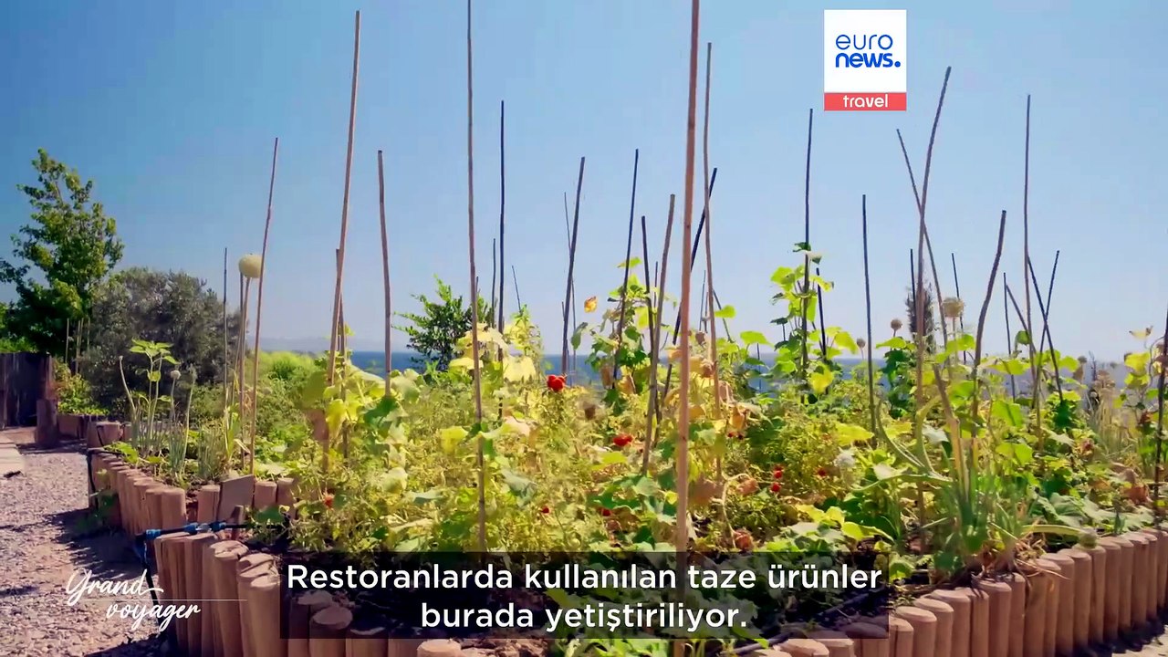 Grand Voyager | Bodrum'u ve Ege Kıyısı'nı Keşfediyoruz