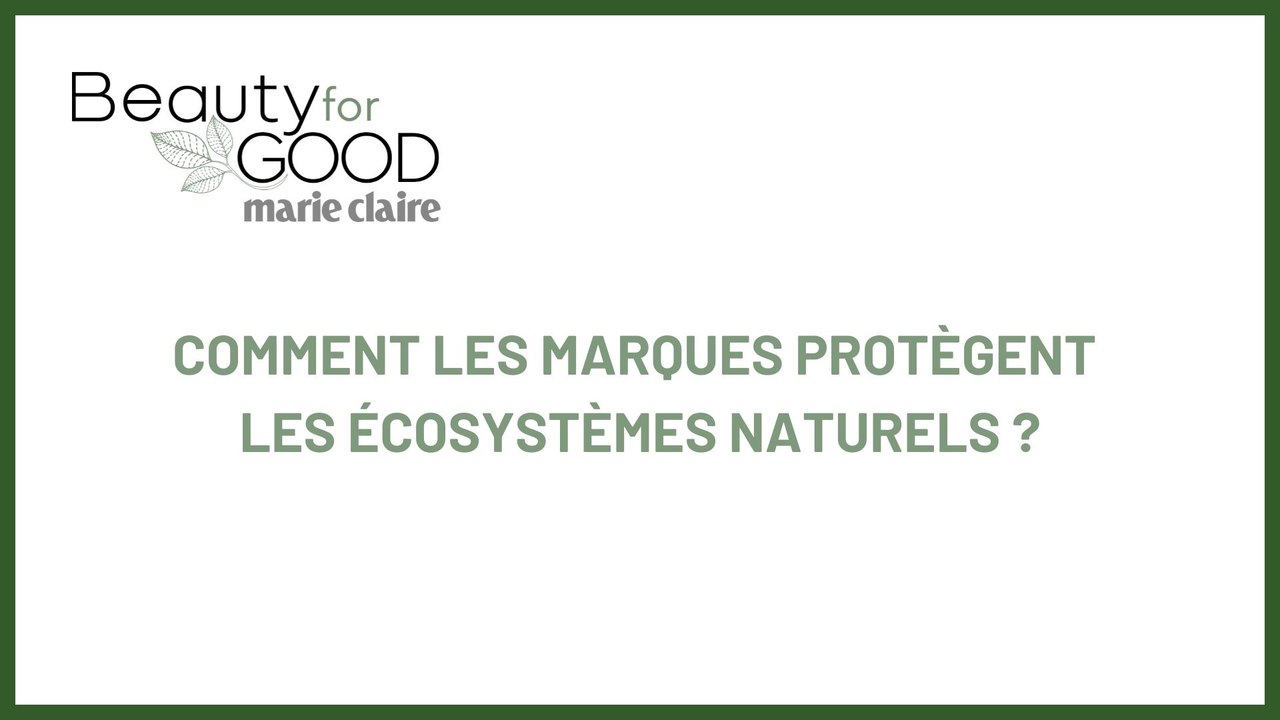BEAUTY FOR GOOD : Comment les marques protègent les écosystèmes naturels ?