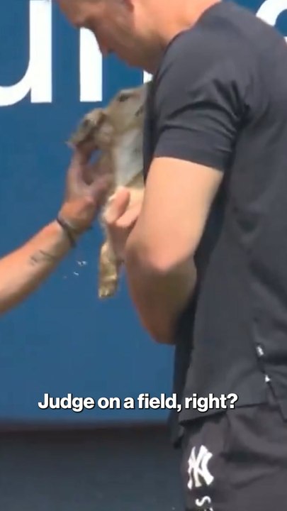 Aaron Judge patrols the outfield with his dog Gus