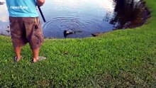 Il pêche un bébé crocodile très en colère