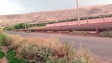 1000009356