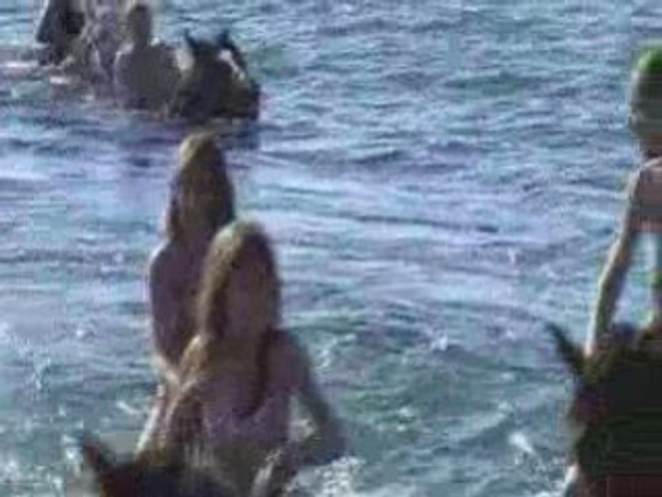 Cheval Andalou - Baignade chevaux