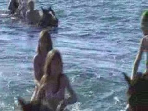 Cheval Andalou - Baignade chevaux