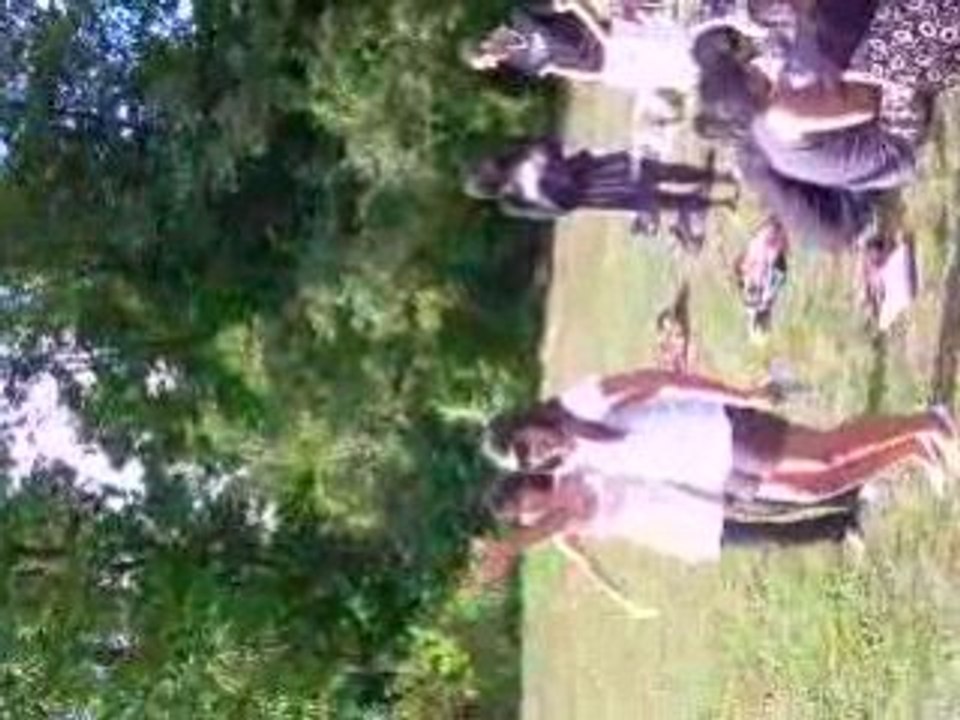 BARBECUE CLIP AU PARC DE NOISIEL