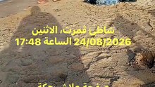 سيارة متهورة تثير الخوف على شاطئ قمرت