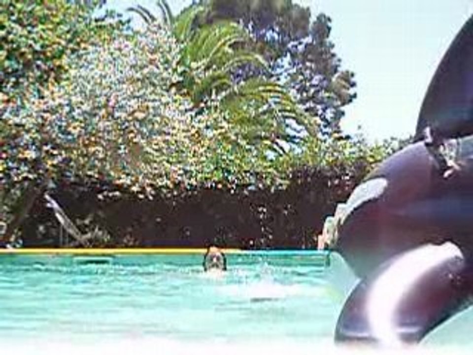 Saut à 2