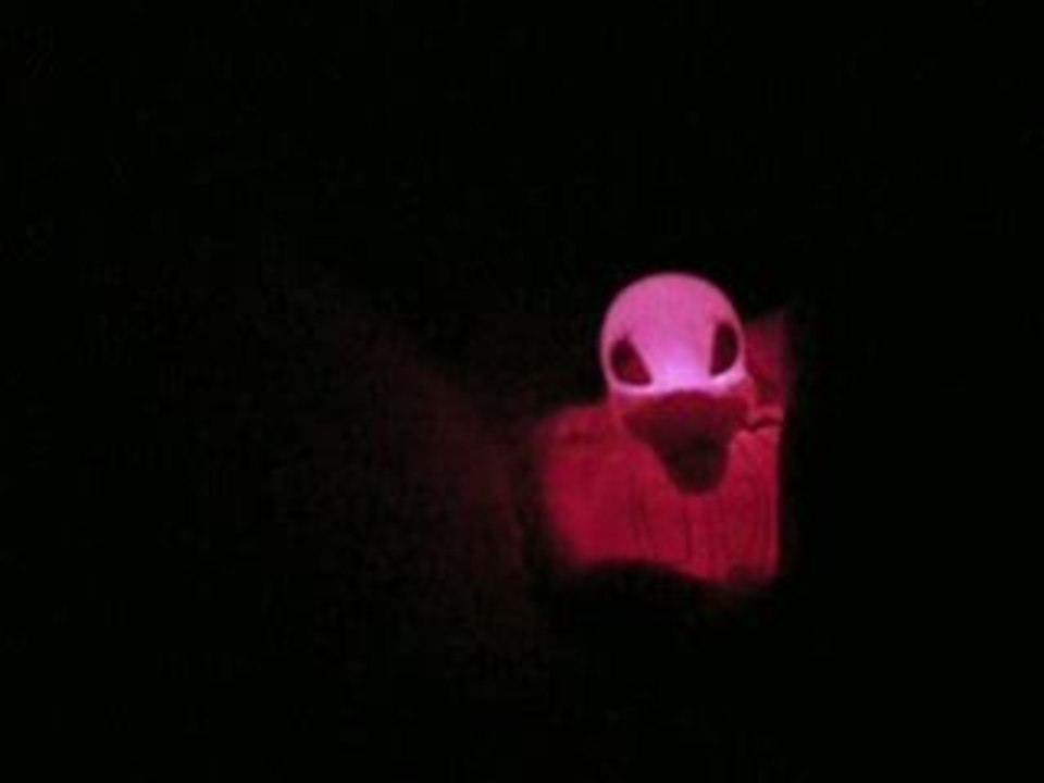Playing with my ........ duck