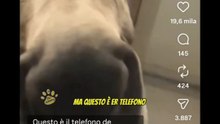 Animali doppiati