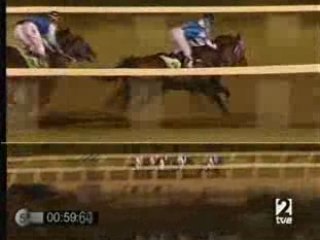 2008 (224) Premio M.M.A.Y M.R.Y M. (Cat. C) (FRAGANTINO)