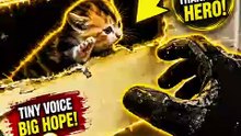 They Heard a Strange Noise… Then Rescued This Tiny Kitten 🥹🐱