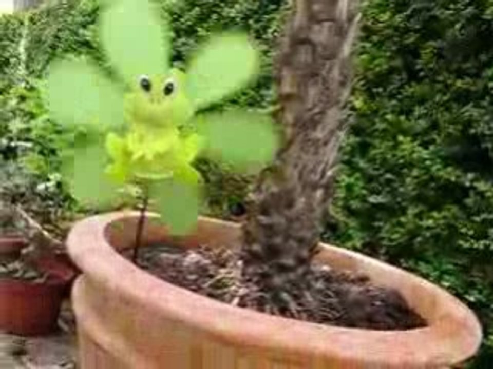 Clémentine et la grenouille