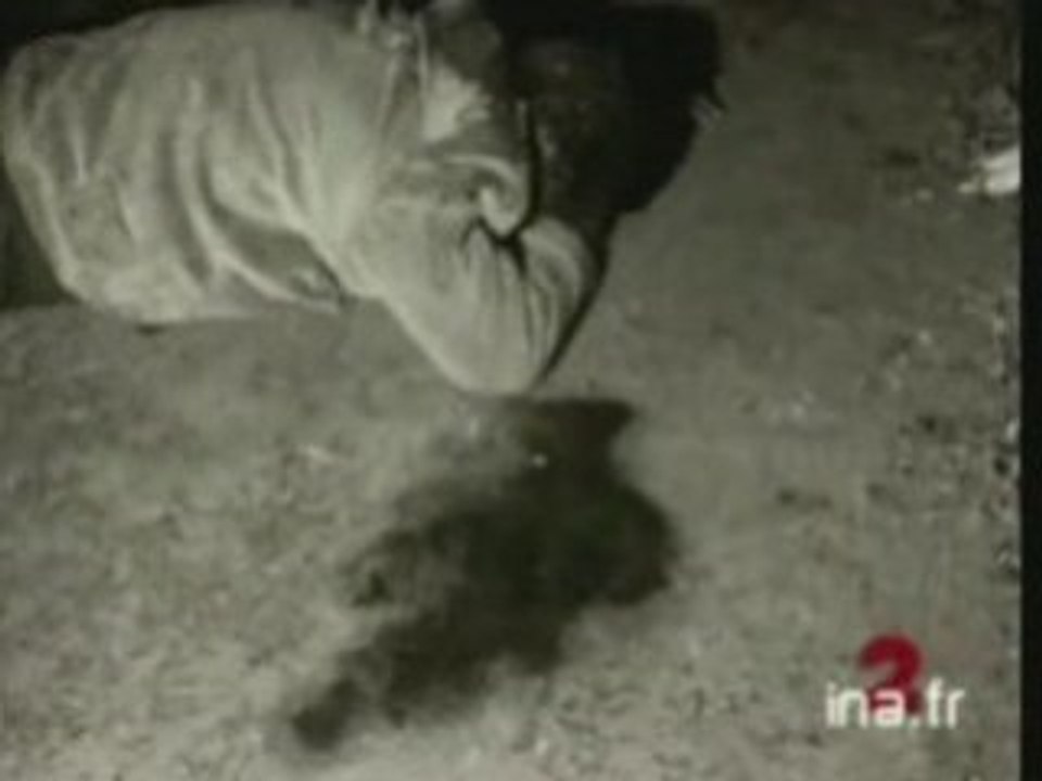 Une Histoire du Ghetto Français, 17 Octobre 1961