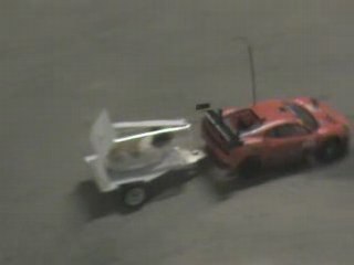 regis promene son cobaye