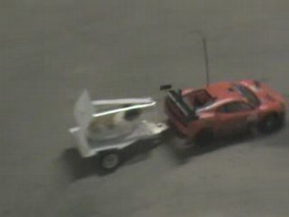 regis promene son cobaye