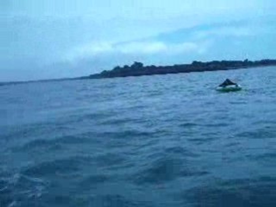 Bouee tirer par zodiac 50cv