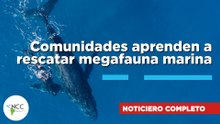 Comunidades aprenden a rescatar megafauna marina|895| 31 de agosto al 06  de septiembre  de 2026