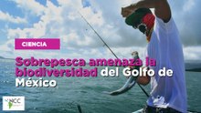 Sobrepesca amenaza la biodiversidad del Golfo de México