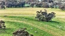 Vater family is selling four-farm portfolio in the Mid North.