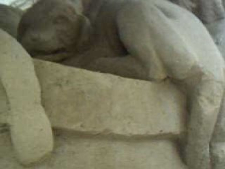 Arche de Noé 6
