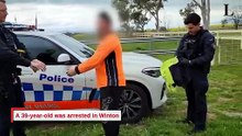 Raptor arrests in Tamworth