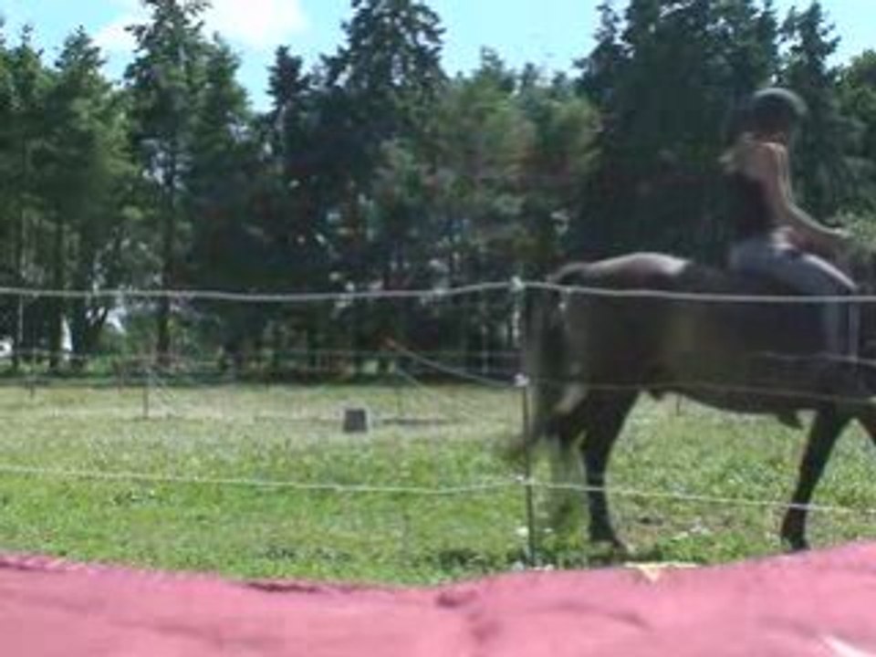 Quenzo éthologie 17/07 (3)