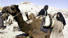 قصص وقصائد قبيلة ولد علي من عنزه