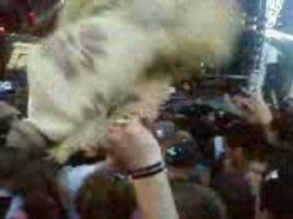 vieilles charues 2008