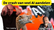 De crash van AI aandelen en hang naar kwaliteit