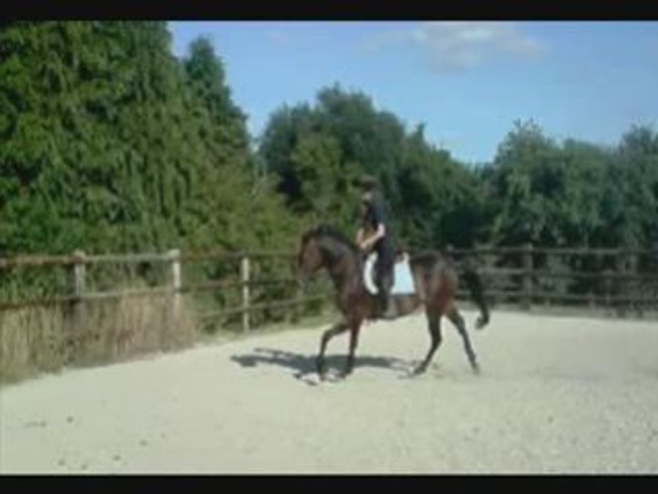 Saut avec pondi et opale