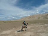 Le Fil Rouge du chameau du Gobi, Mongolie
