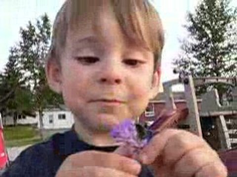 Une après-midi au parc avec les chiennes et les enfants