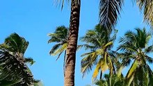 Zanzibar: top oferty all inclusive 27.08.2026 | Lastradar