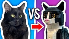 Chats vs LEGO : Qui va gagner le défi ?
