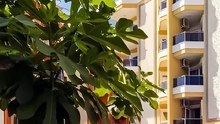 Turcja (Alanya): top oferty all inclusive 27.08.2026 | Lastradar