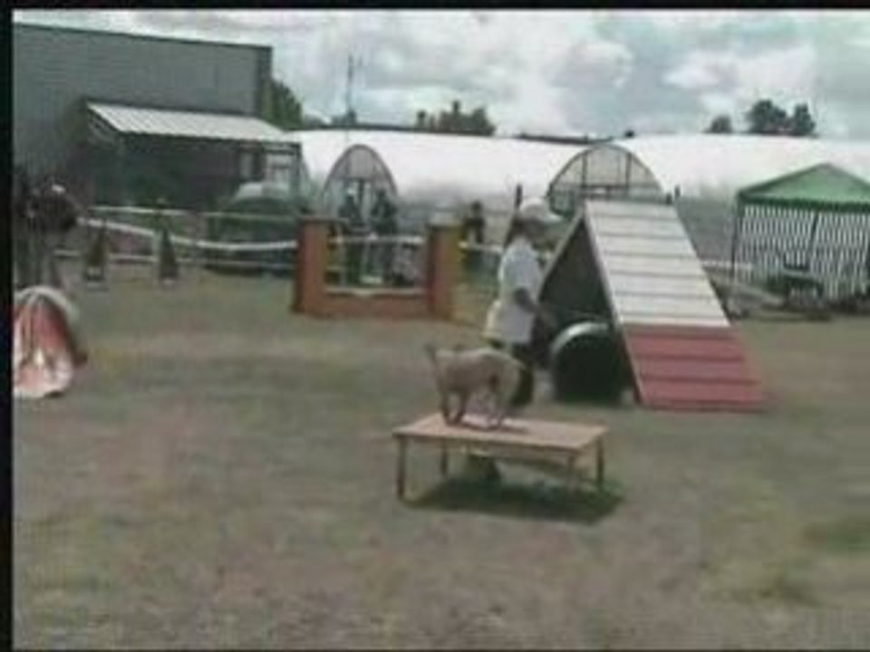 2ème degré ingré 20 juillet 2008