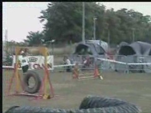 jumping ingré 20 juillet 2008